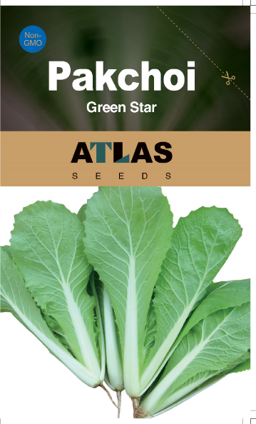 Green Star Pak Choi Seeds 300+ Non-GMO Sweet Crisp Fast Growing High Yield