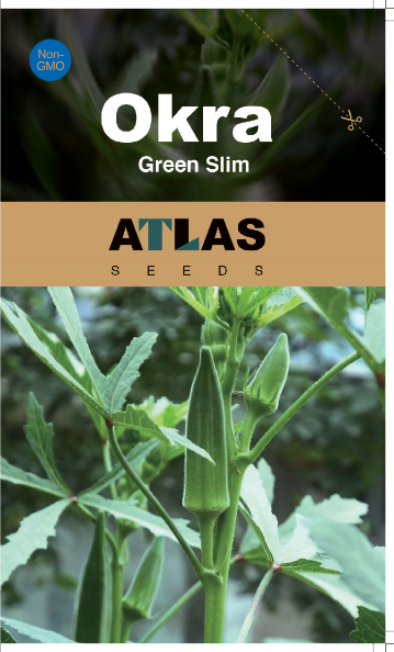 Emerald Slim Okra Seeds Tender Non-GMO Garden Favorite