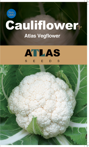Cauliflower Seeds  Non-GMO Heirloom Large Head Easy Grow High Yield