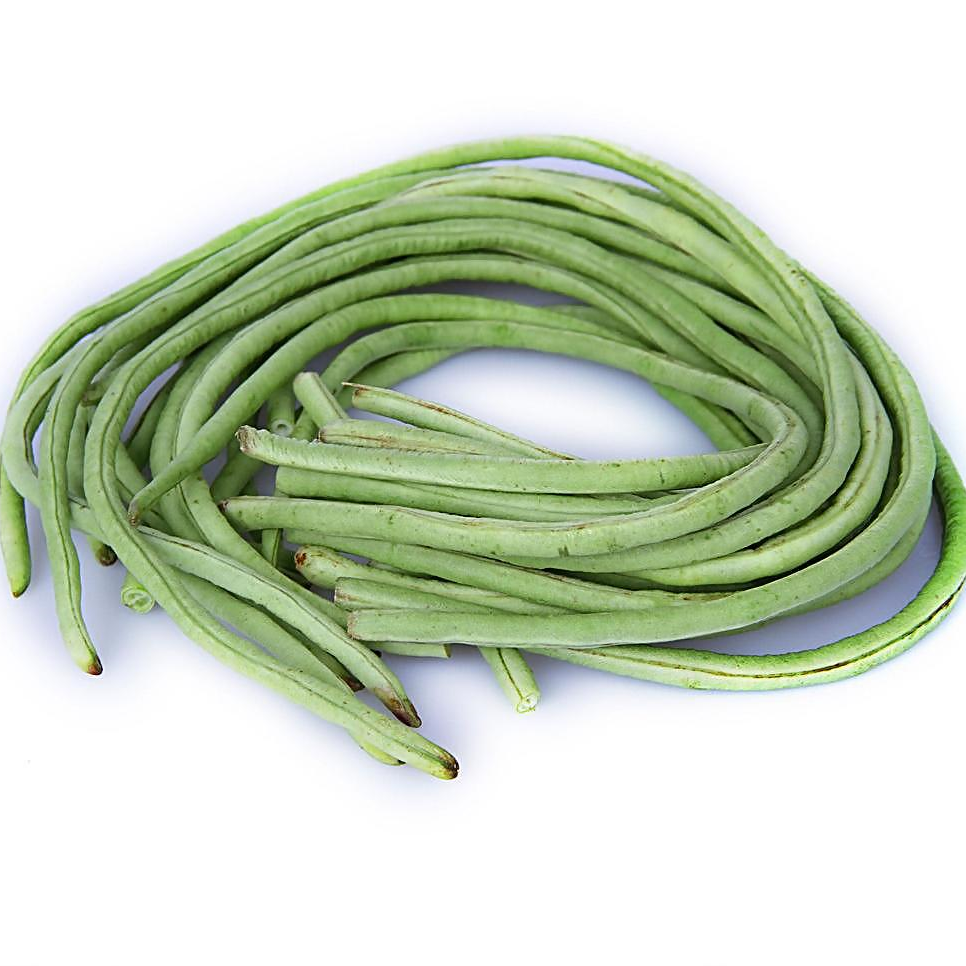 Stringless Yardlong Bean Seeds ender Non-GMO Vegetable Garden Variety