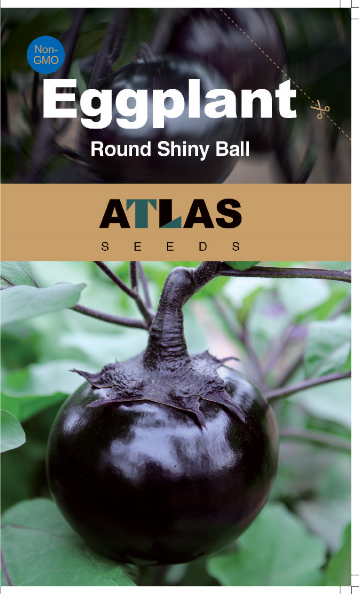 150+ Eggplant Seeds Black Round Heirloom Non-GMO Sweet Tender High Yield