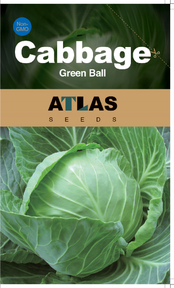 Emerald Ball Cabbage – Premium Non-GMO Garden Seeds 200+