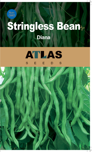 Stringless Yardlong Bean Seeds ender Non-GMO Vegetable Garden Variety