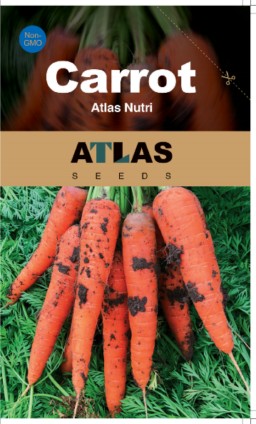NutriSweet Carrot Seeds – Non-GMO Sweet Garden Carrots 1000+ Seeds