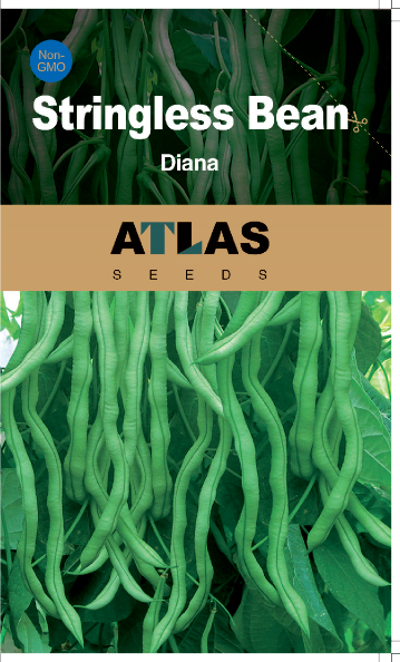 Yardlong Bean Seeds Emerald Ribbon Non-GMO Long Pod High Yield