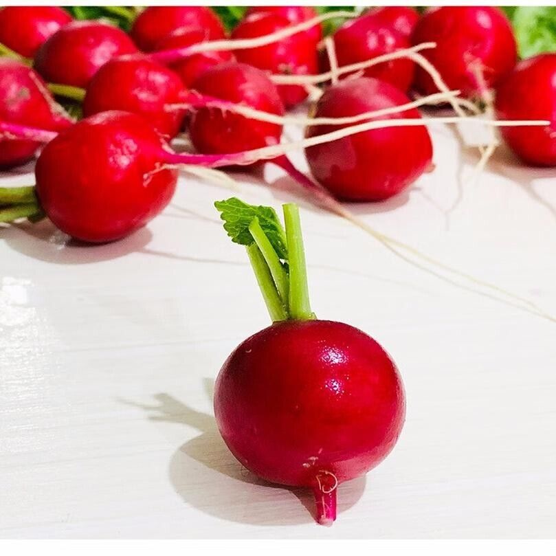 Ruby Crunch Radish Seeds Non-GMO Fast Growing Crisp Sweet