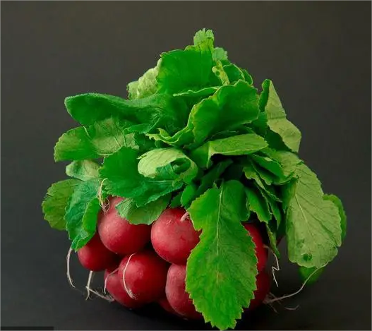 Ruby Crunch Radish Seeds Non-GMO Fast Growing Crisp Sweet