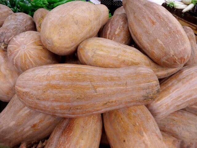 Butternut Squash Seeds Non-GMO Sweet High Yield Garden Favorite