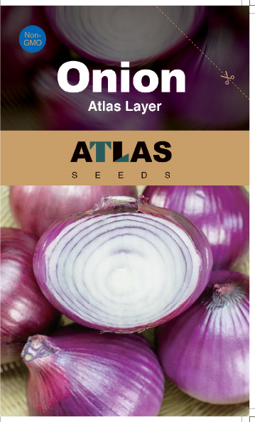 Ruby Sweet Red Onion Seeds Non-GMO Crisp Garden Favorite