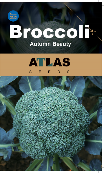 Merald Crown Broccoli Seeds Non-GMO Large Heads EasyGrow
